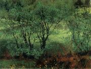 Woodland Scene,Brantrake